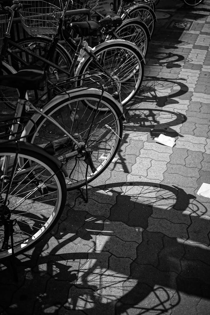 gallery-6 A row of bicycles casting shadows on Japanese streets, showcasing urban life.