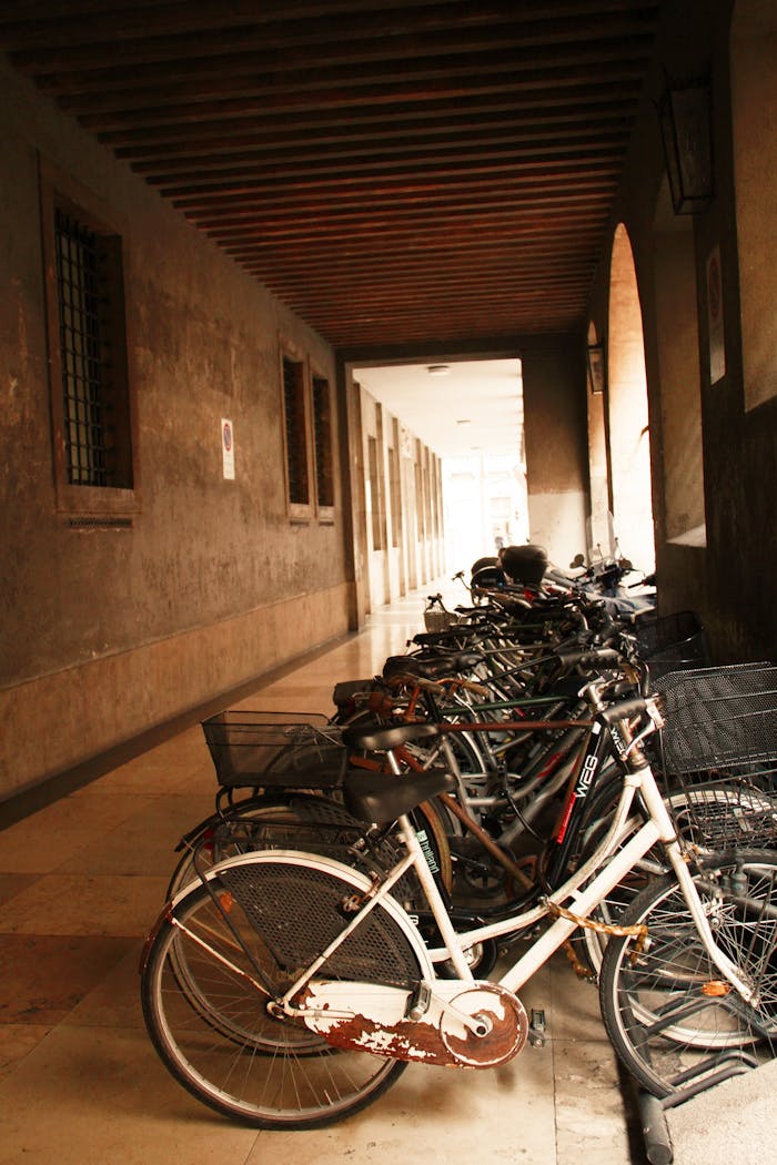 gallery-5 Parked bicycles line a charming alleyway in Padua, showcasing Venetian architecture.