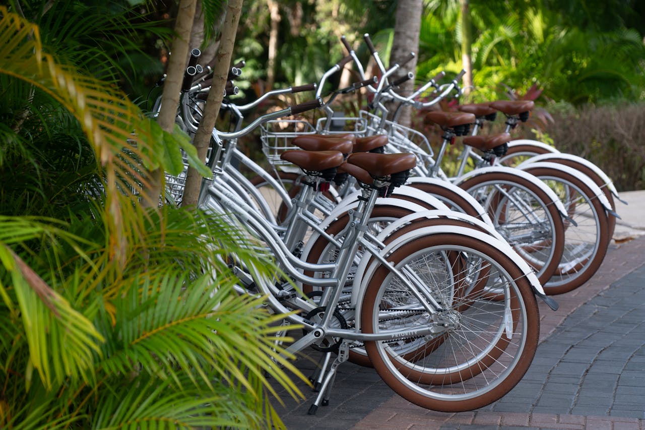 about-02 A row of bicycles parked outdoors amidst lush greenery in daylight.