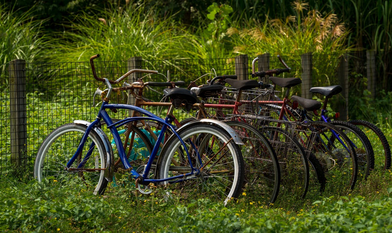 A row of vintage bicycles parked in a lush green field with a wire fence backdrop.